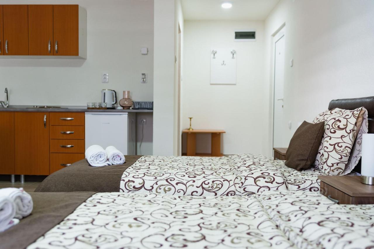 Apartmani Centar Lux New ズレニャニン エクステリア 写真